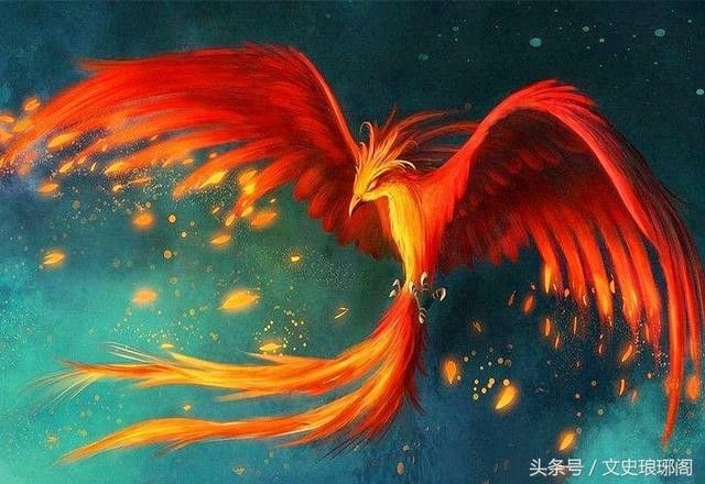 Phoenix Rose