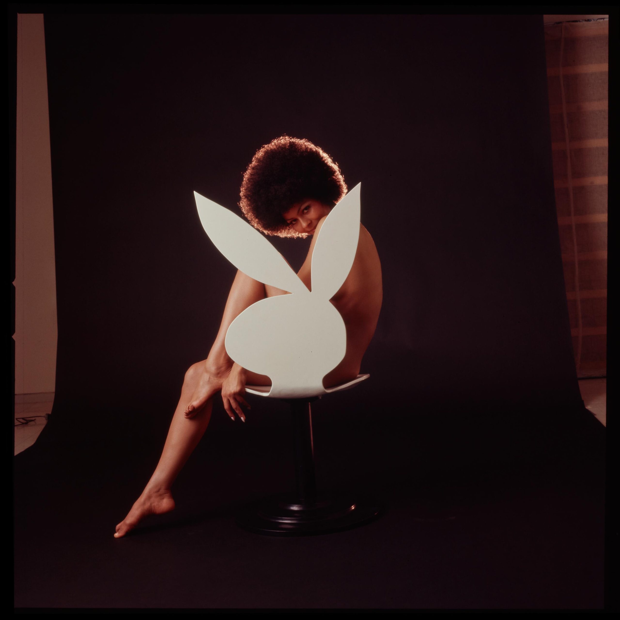 Darine Stern