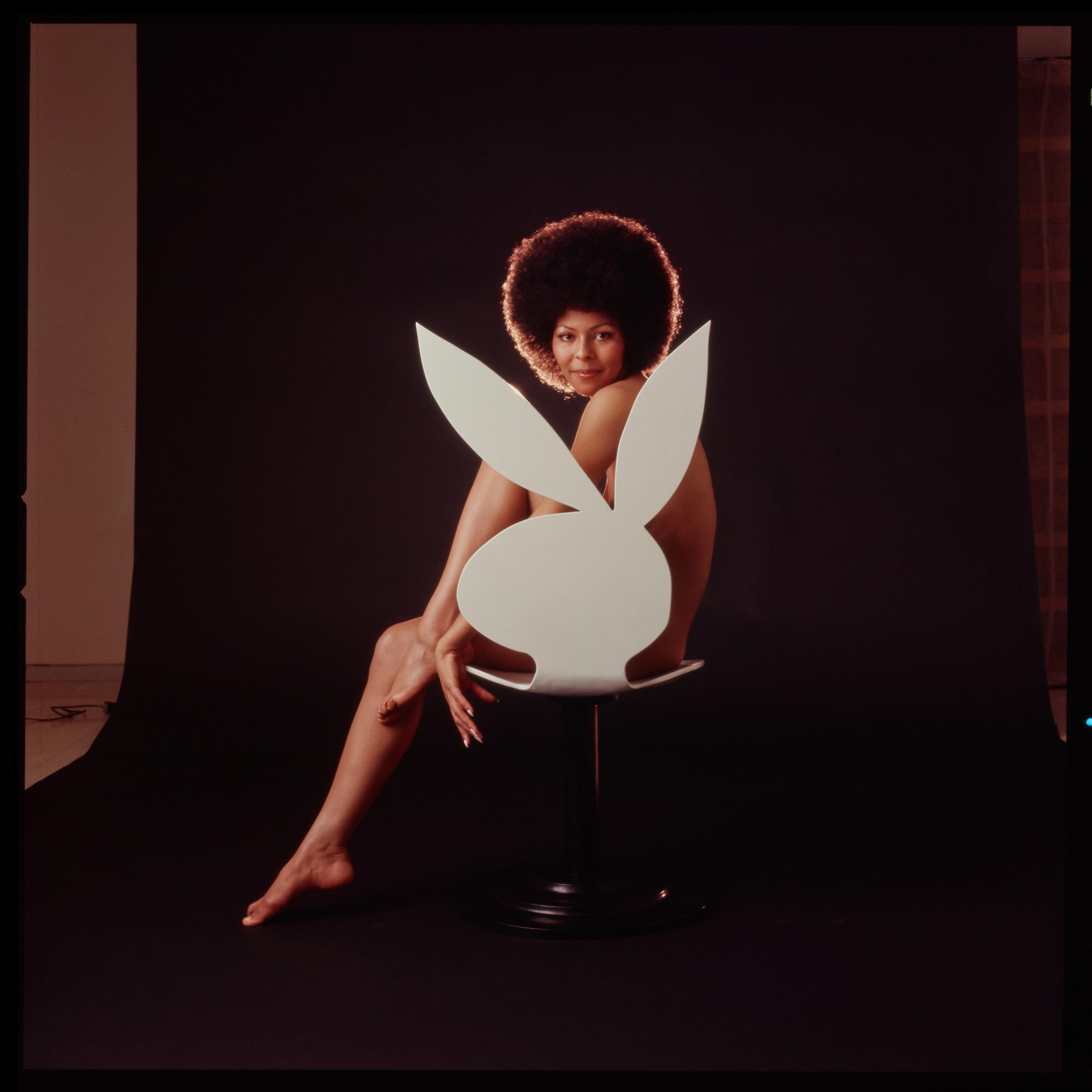 Darine Stern