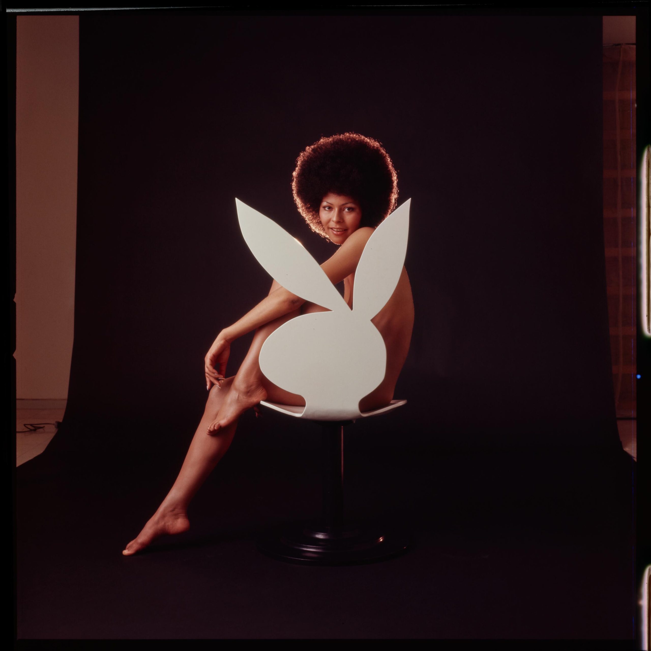 Darine Stern