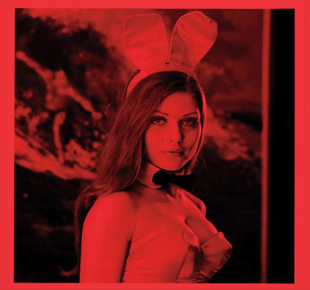 Deborah Harry, photographed by Bill Sumner, 1980. Debbie, best known as the lead singer of Blondie, worked as a Playboy Bunny before becoming a punk rock icon.&nbsp;