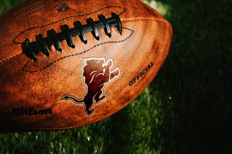 Detroit Lions Fold in Biggest Game, Miss Playoffs