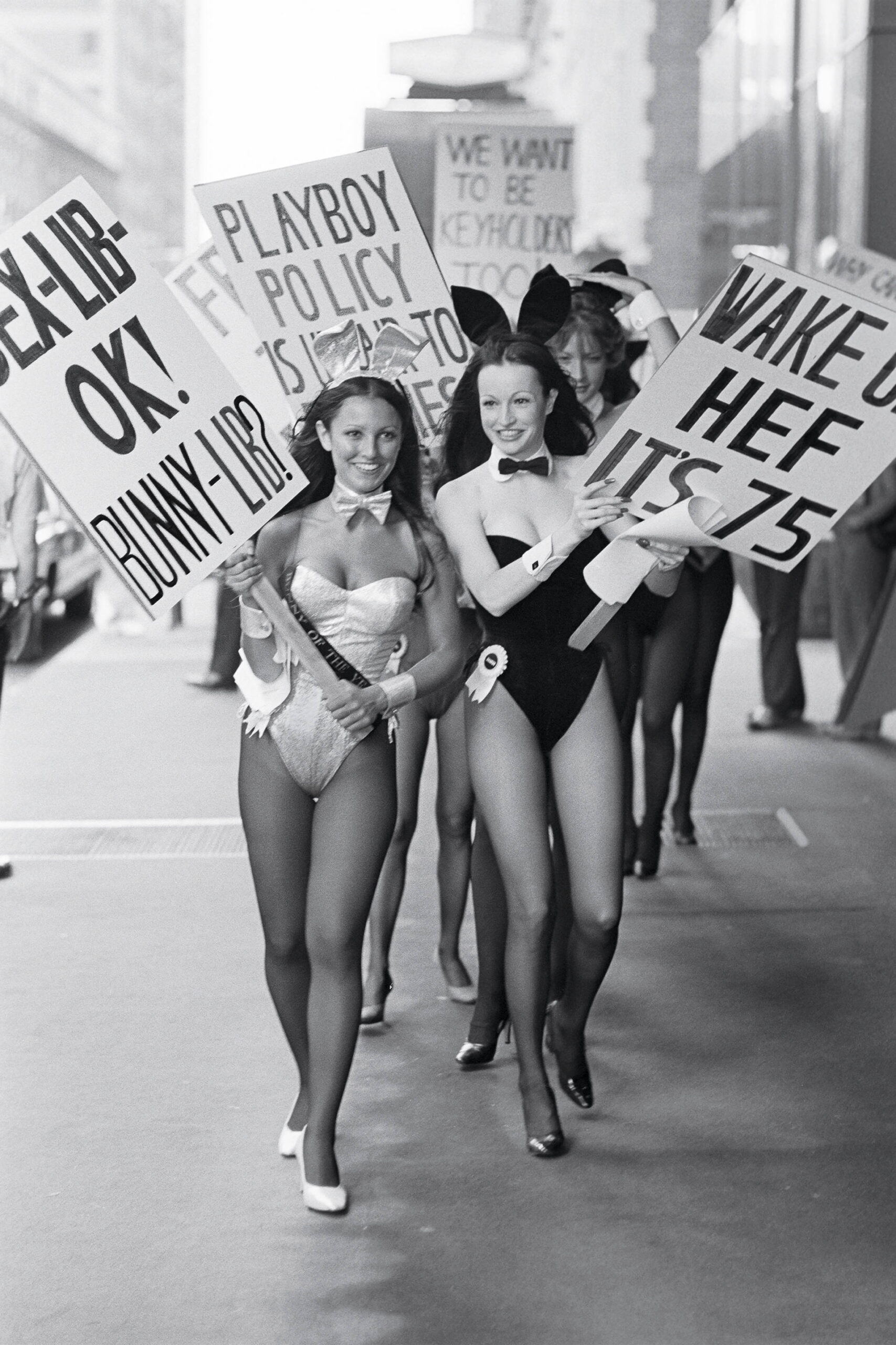 Group Bunny Lib by Ken Frantz embed01