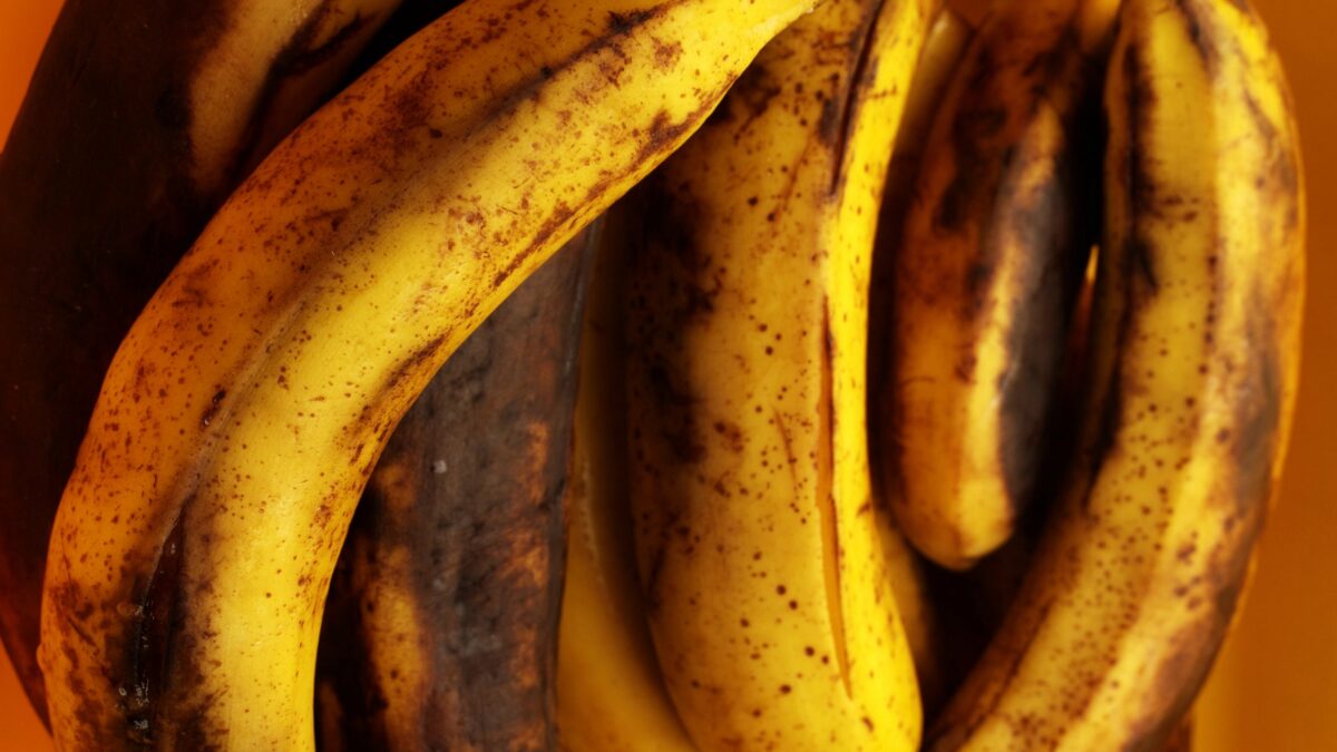 Karem-2020-Banana-Republic 16x9