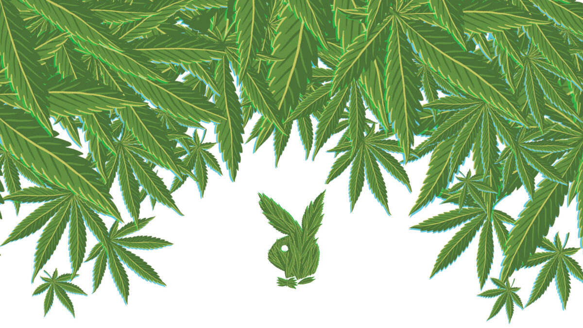 PLAYBOY_Weed-Warriors_16x9.jpg