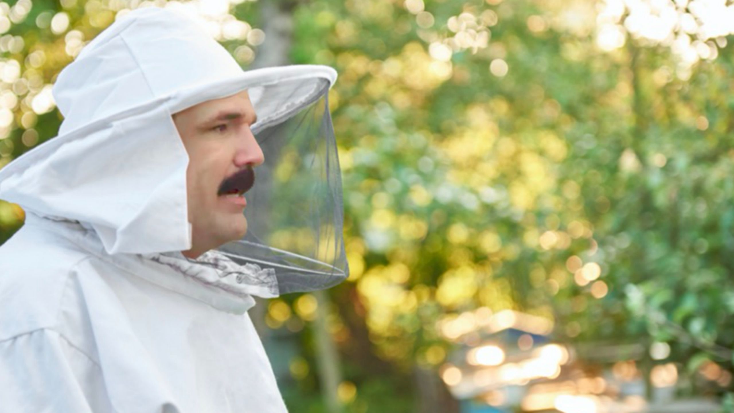 Peter Deadpool 2 more bees.png
