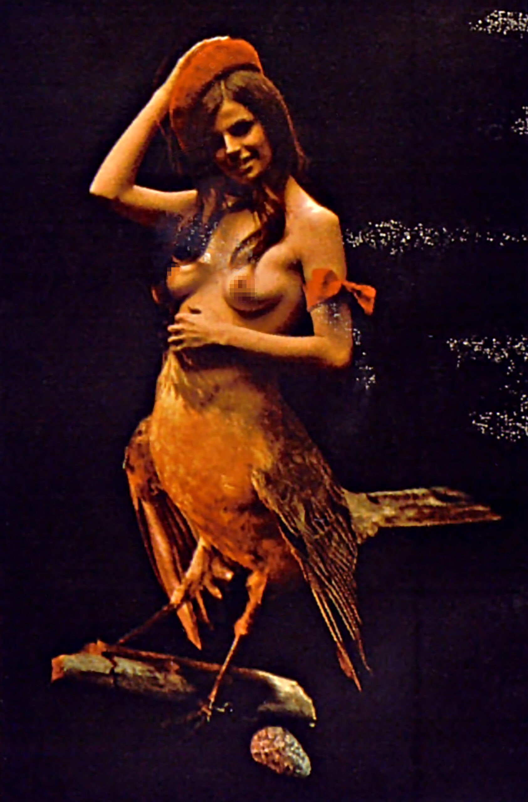Playboy-Birds-of-America embed01B