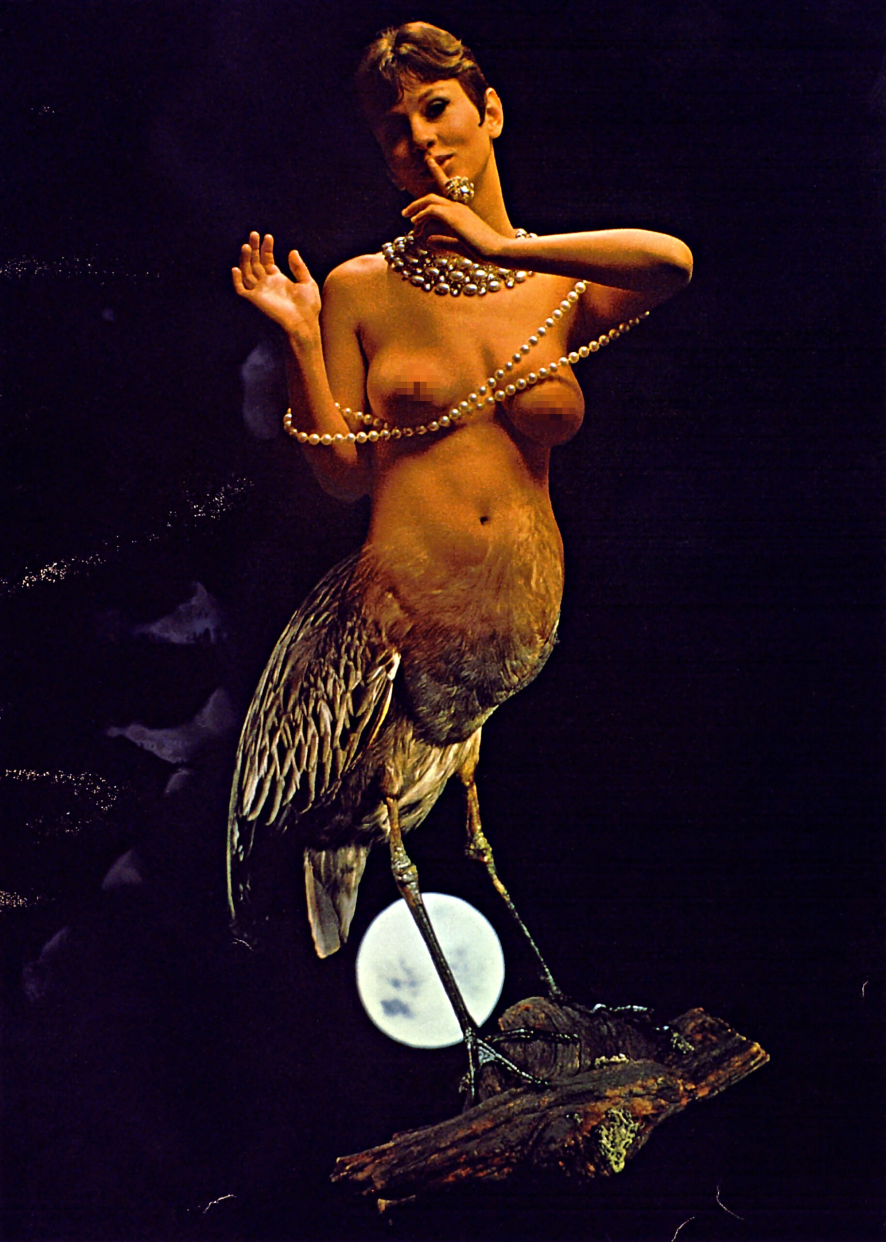 Playboy-Birds-of-America embed02B
