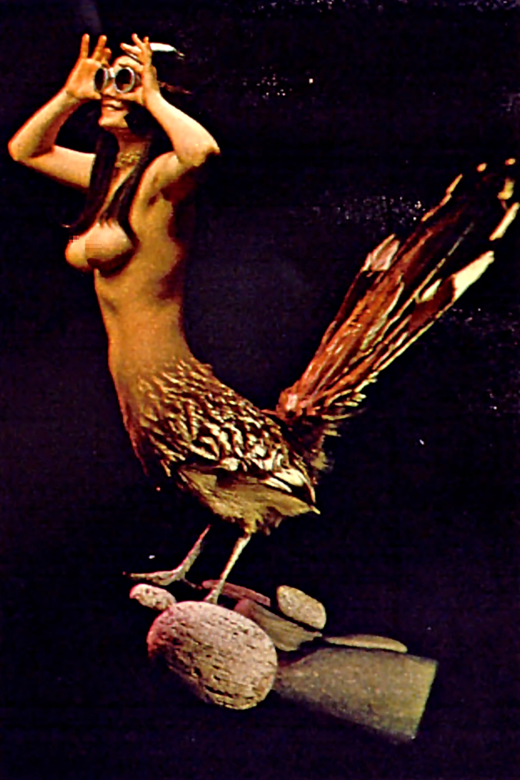 Playboy-Birds-of-America embed03B