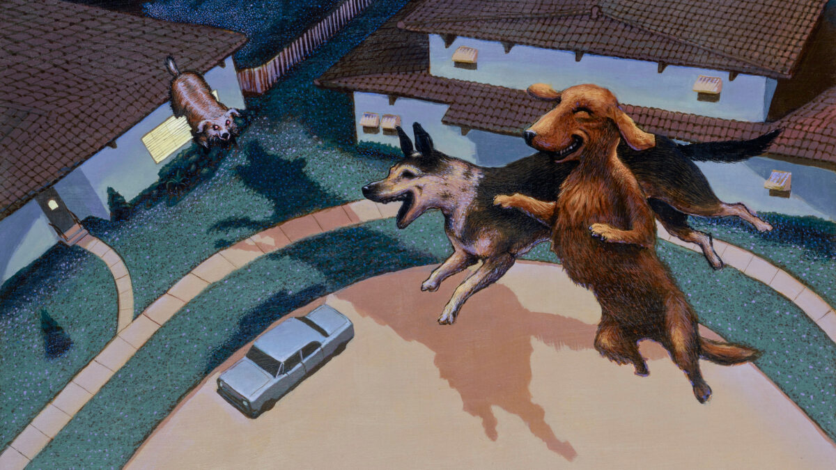 Playboy-Hush-Puppies 16x9