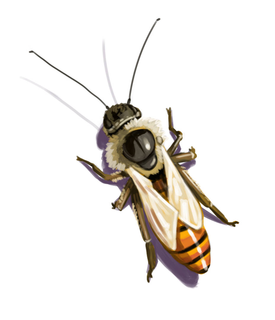 Playboy-She-got-away_embed-bee.jpg