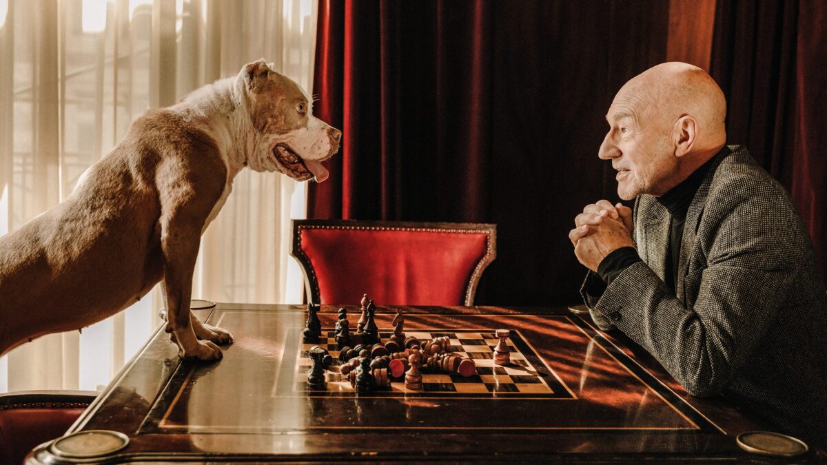 Playboy 20Q Patrick-Stewart 16x9
