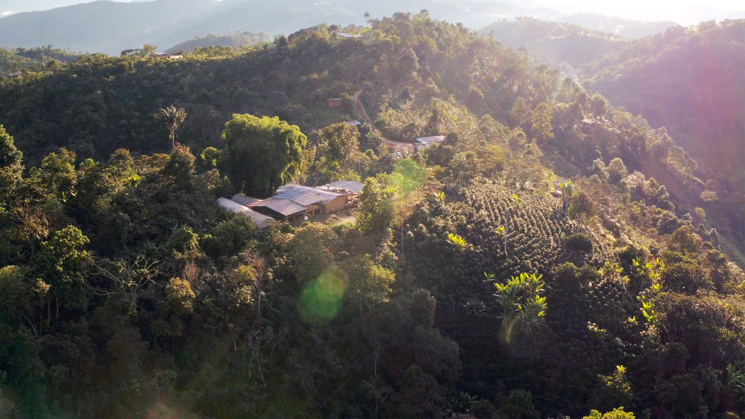 Sustainable-Coffee embed02