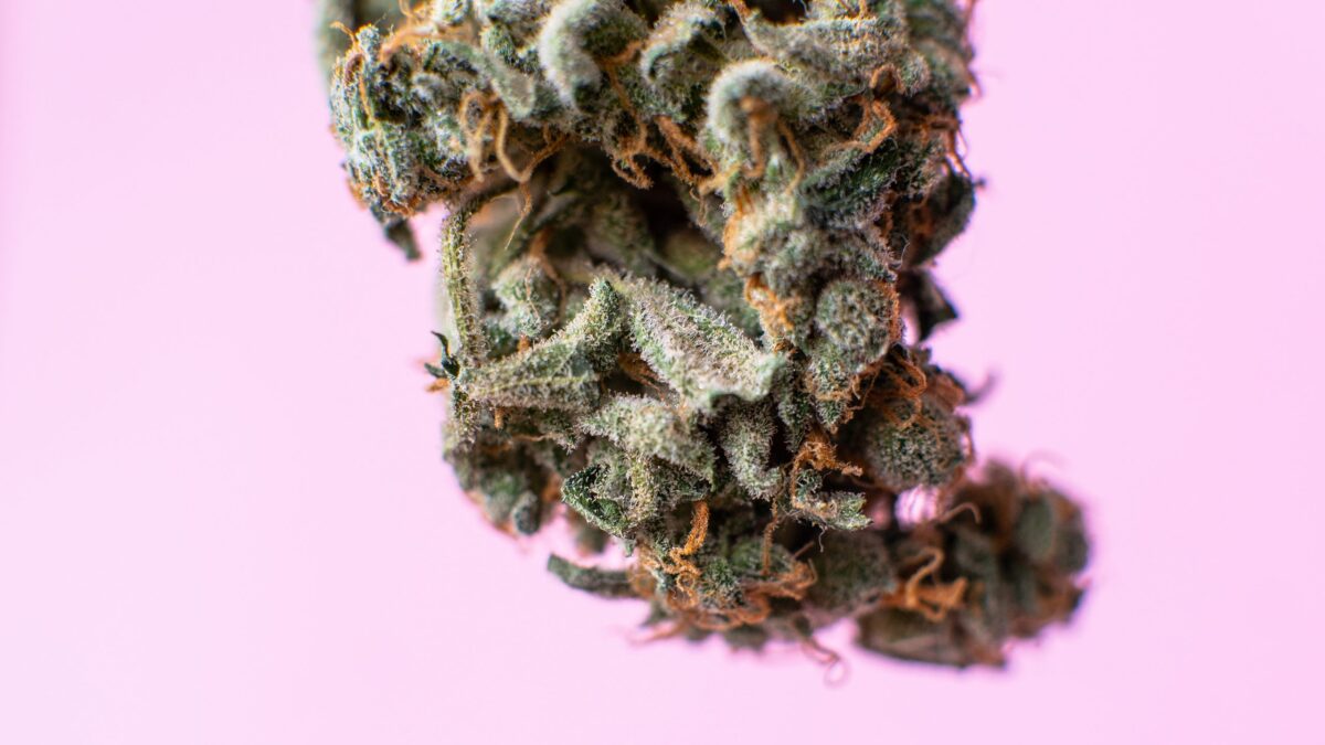 Top-Five-Cannabis-Myths 16x9