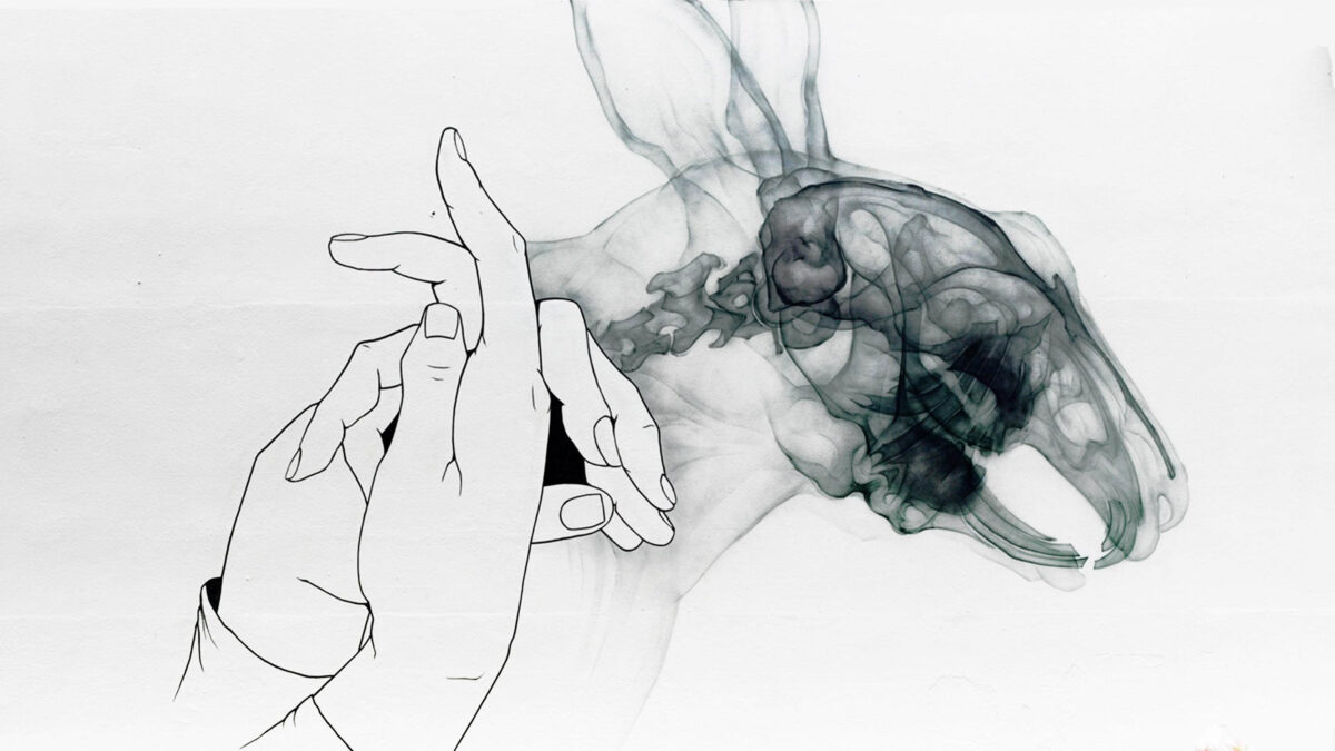 anatomy-street-artist-shok-1-62-16x9.jpg