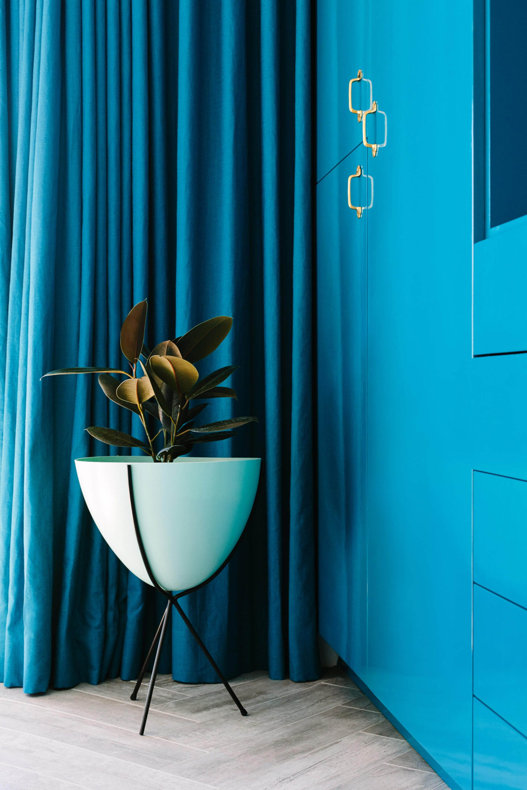 color-in-home-2-EMBED.jpg