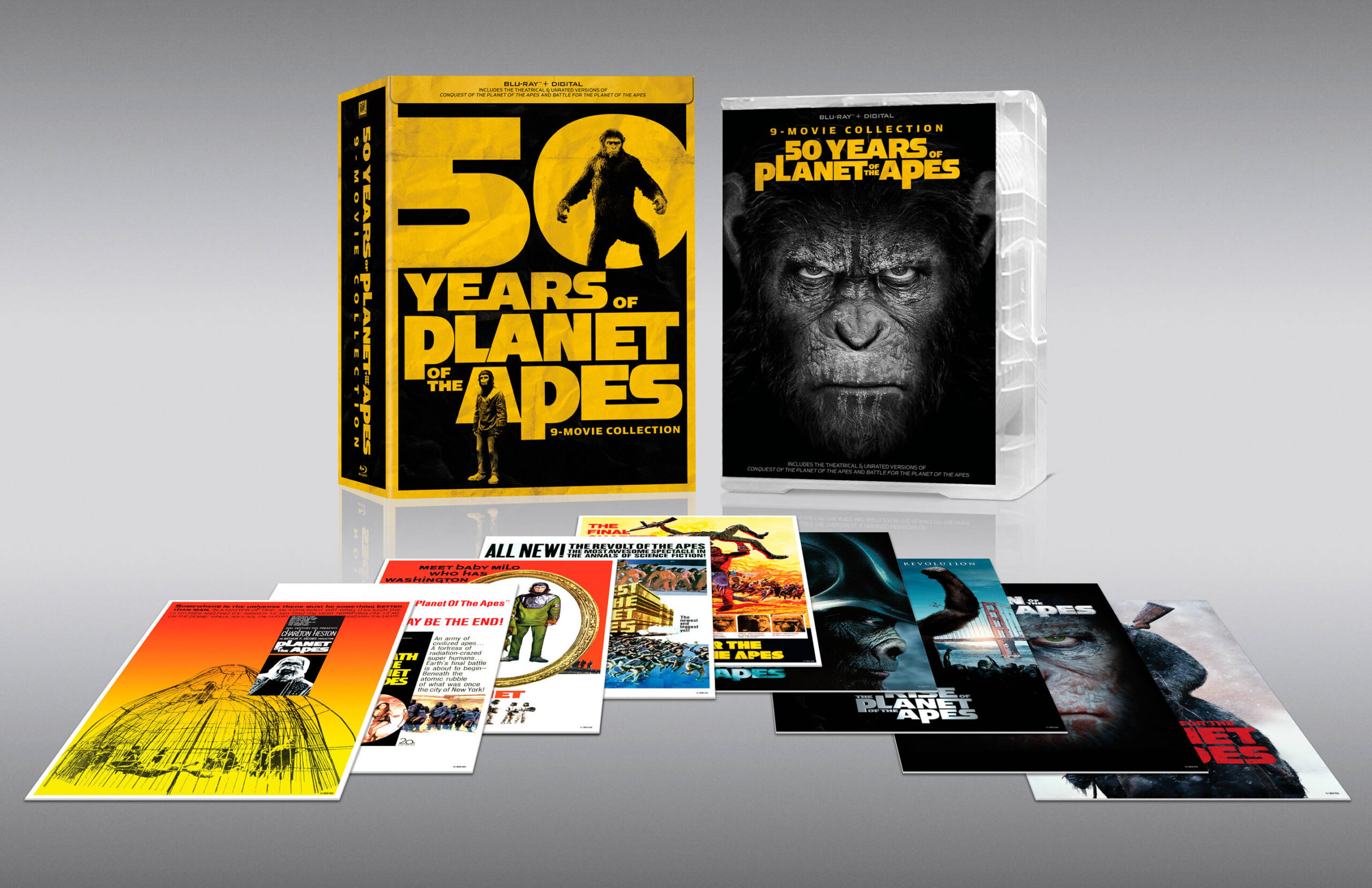 holiday-DVD-gift-guide_(10).jpg