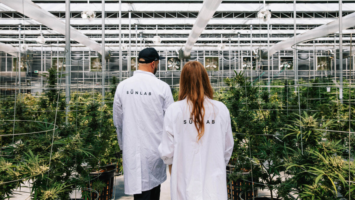 if-weed-farms-looked-like-spaceships_16x9.jpg