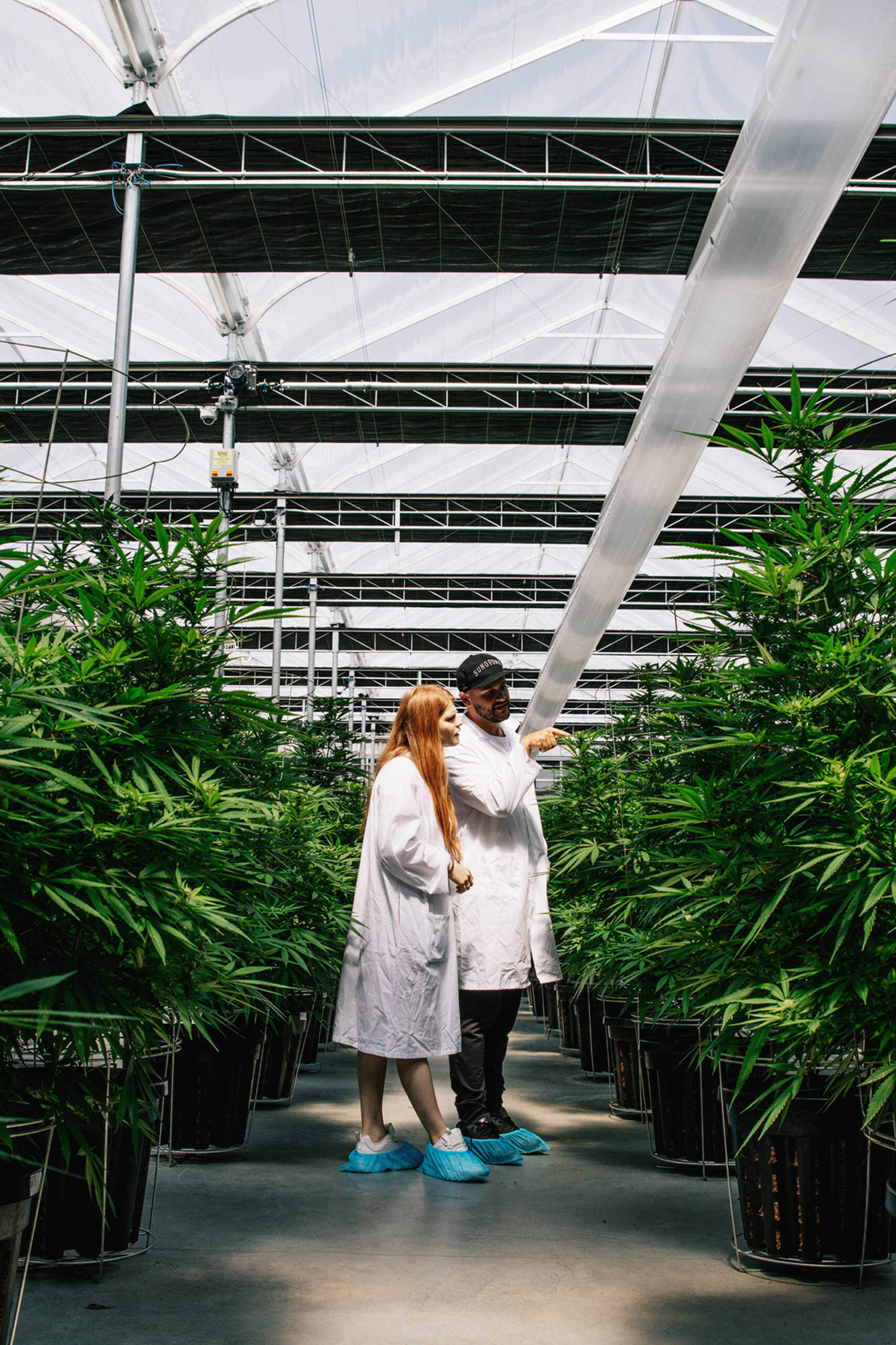 if-weed-farms-looked-like-spaceships_embed(1B).jpg