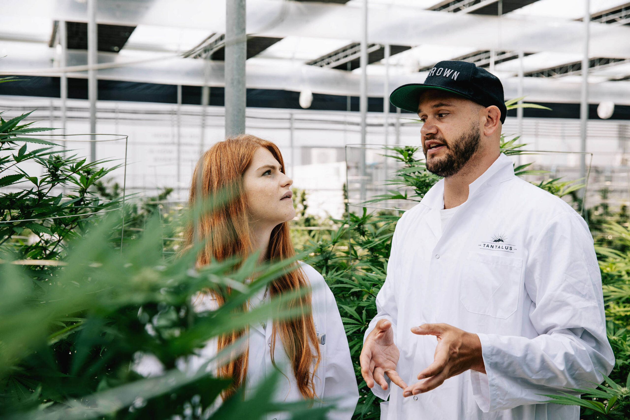 if-weed-farms-looked-like-spaceships_embed(2).jpg