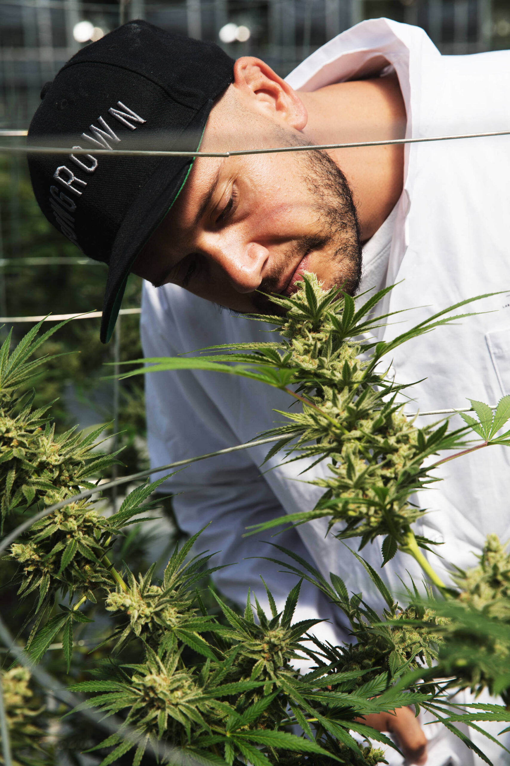 if-weed-farms-looked-like-spaceships_embed(3B).jpg