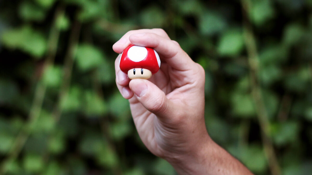 mushroom-dicks_playboy_16x9.jpg