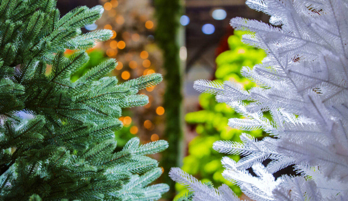 pine-or-plastic-christmas-trees-685-16x9.jpg