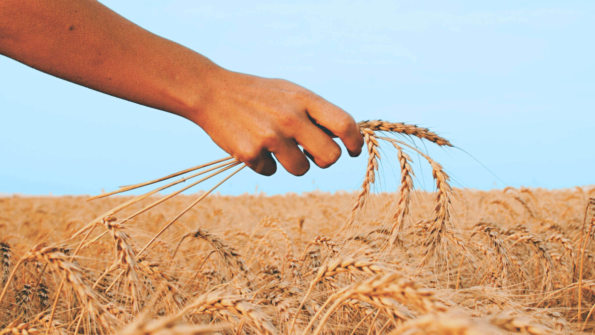 potential-impact-farming-bill16x9.jpg