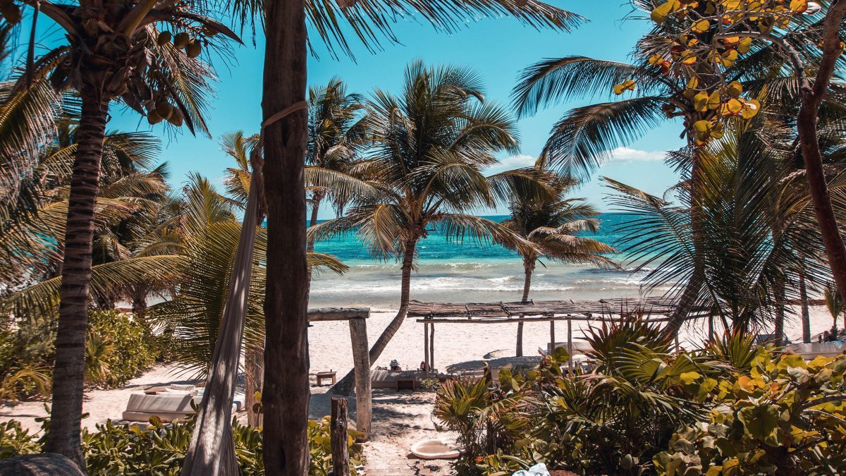 rebuild-caribbean_16x9.jpg