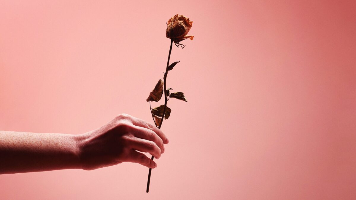 secrets-of-a-reality-show-divorce