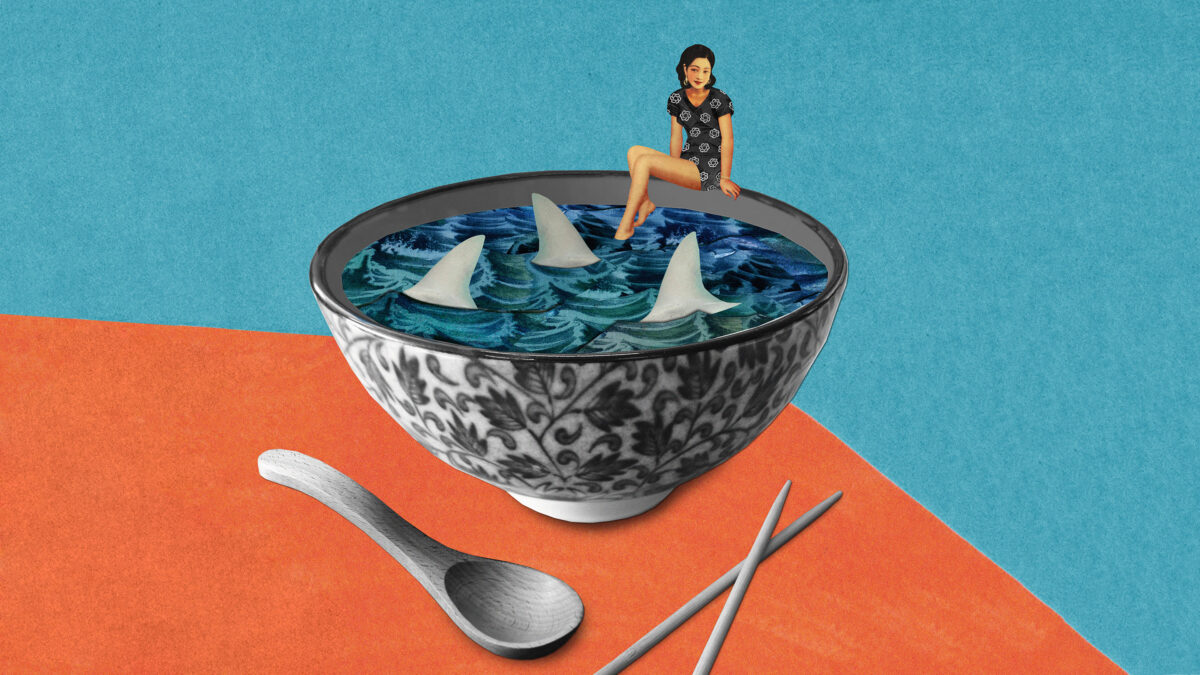 shark-fin_16x9.jpg
