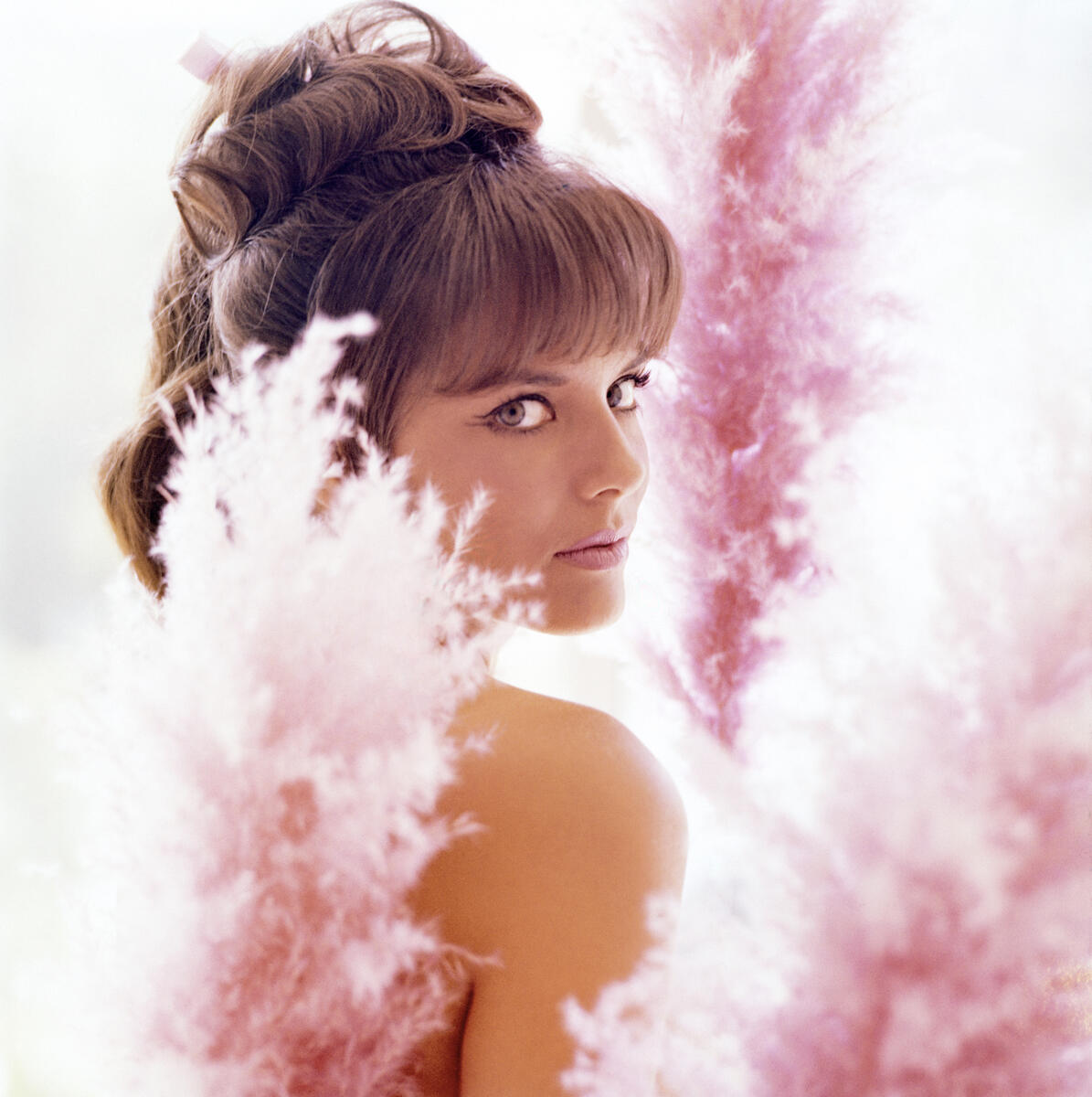 Playmate of the Year, 1965: Jo Collins